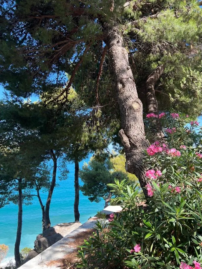 Sunny Breeze Apartment Vlore